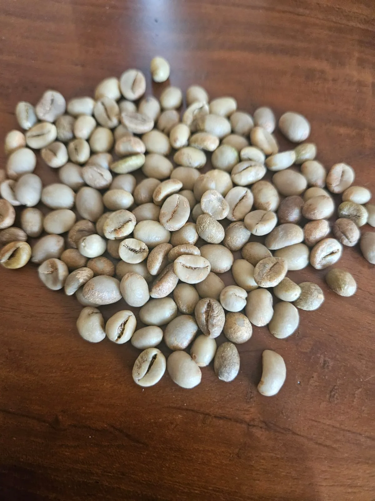 Green coffee bean detail